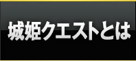 城姫クエストとは